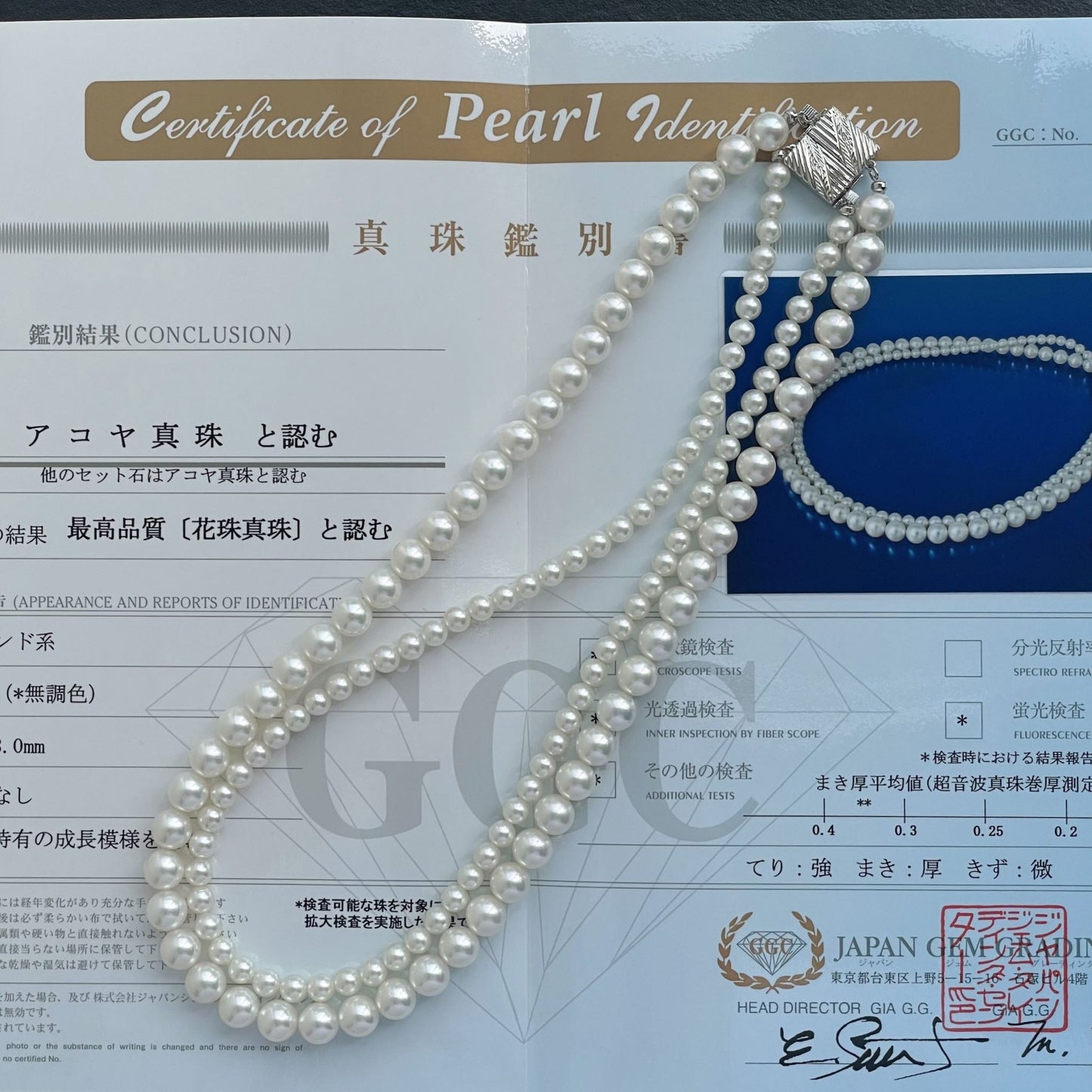 アコヤ花珠ネックレス/2連/GGC鑑別付