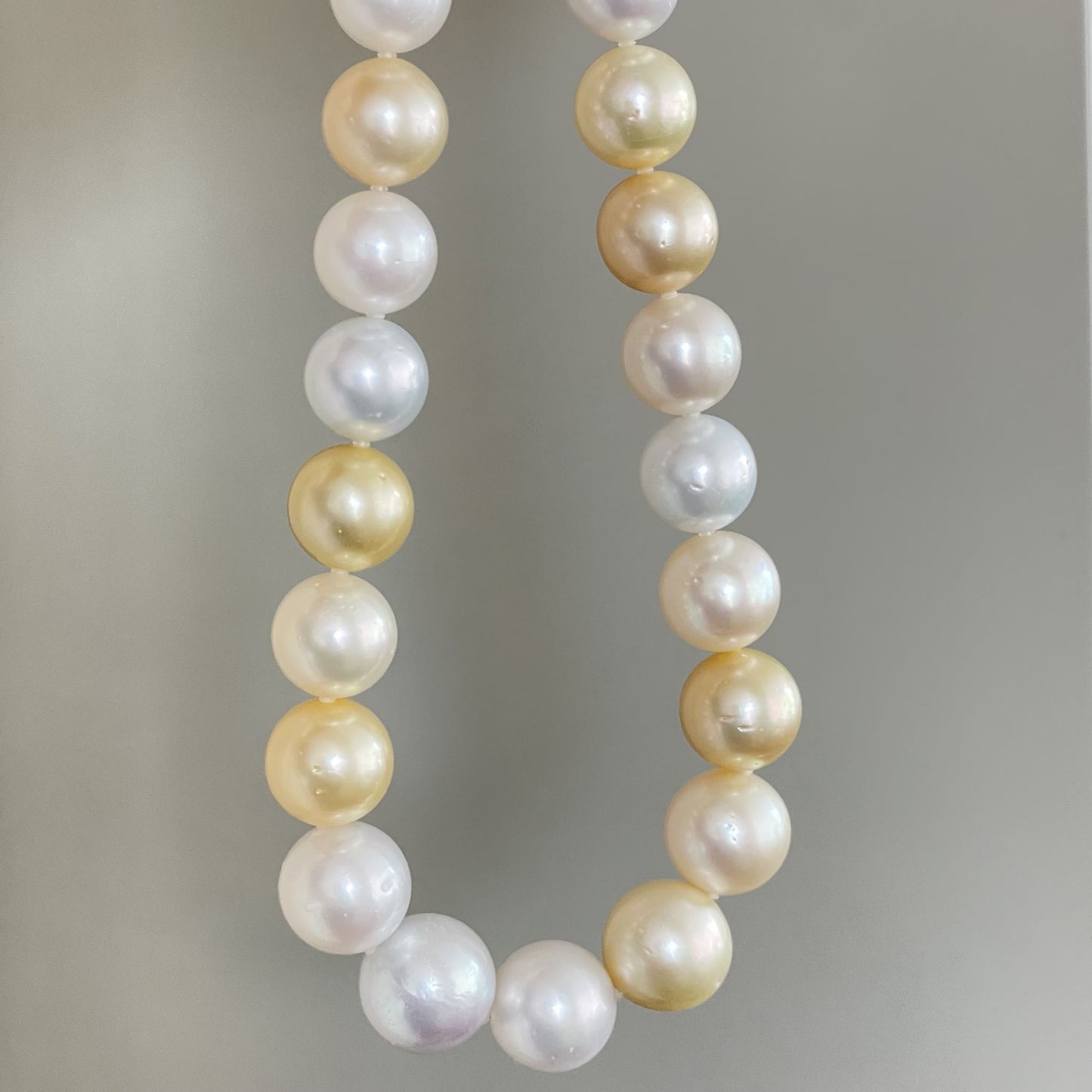 白蝶パールネックレス/白金マルチカラー