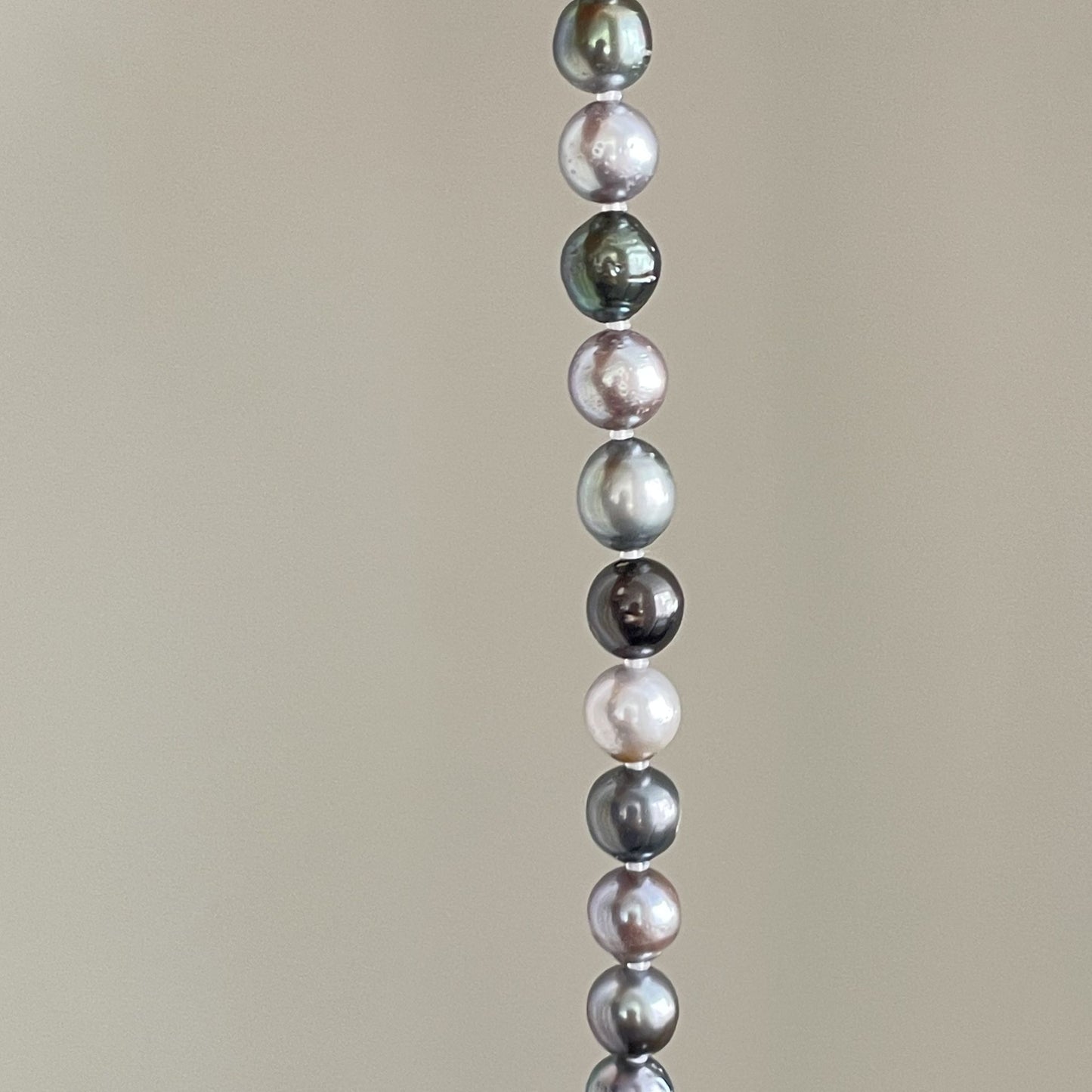 黒蝶ブレスレット/マルチカラー/